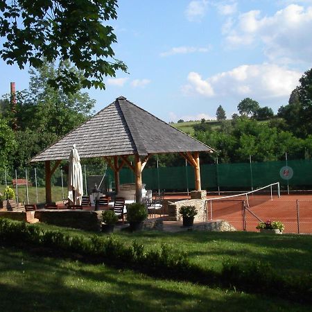 Chateau Radvanov Pension Mlada Vozice Exterior foto