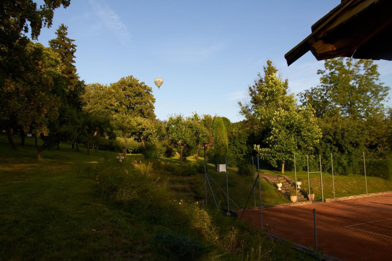 Chateau Radvanov Pension Mlada Vozice Exterior foto